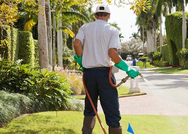About Braselton GA Pest Control Pros
